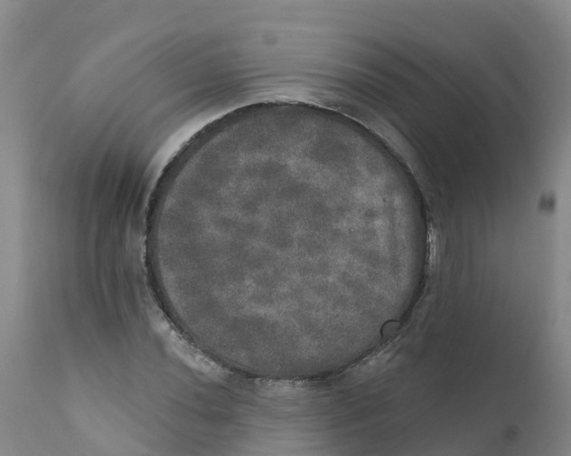X0000111801020200908131431