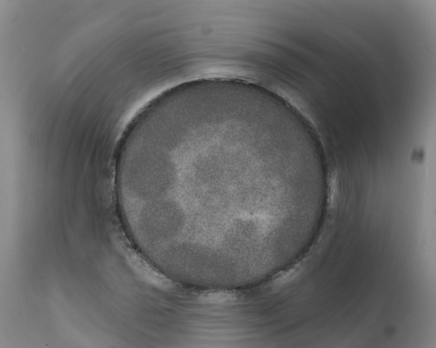 X0000111801021200908131431