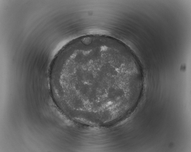 X0000111801022200908131431