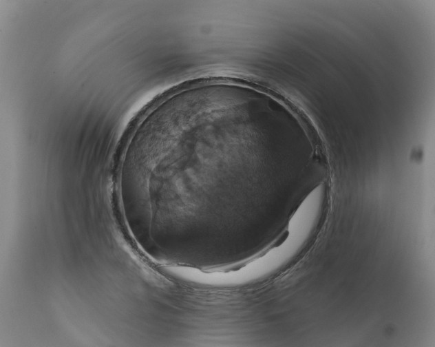 X0000111801024200908131431