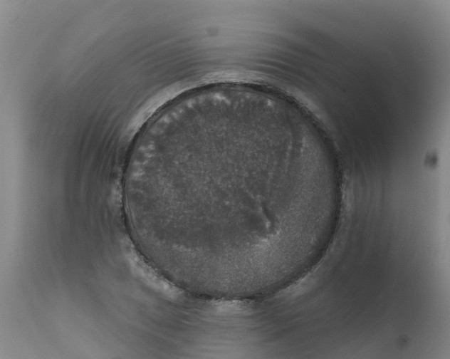 X0000111801025200908131431