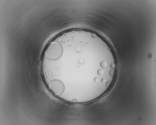 X0000111801029200908131431