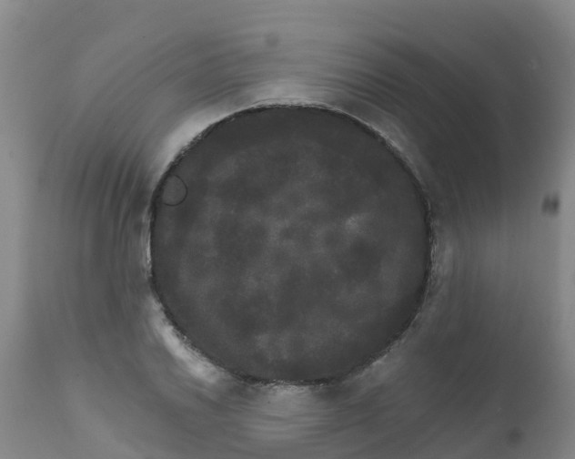 X0000111801030200908131431