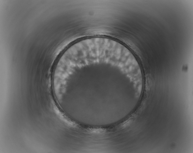 X0000111801031200908131431
