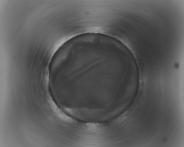 X0000111801032200908131431