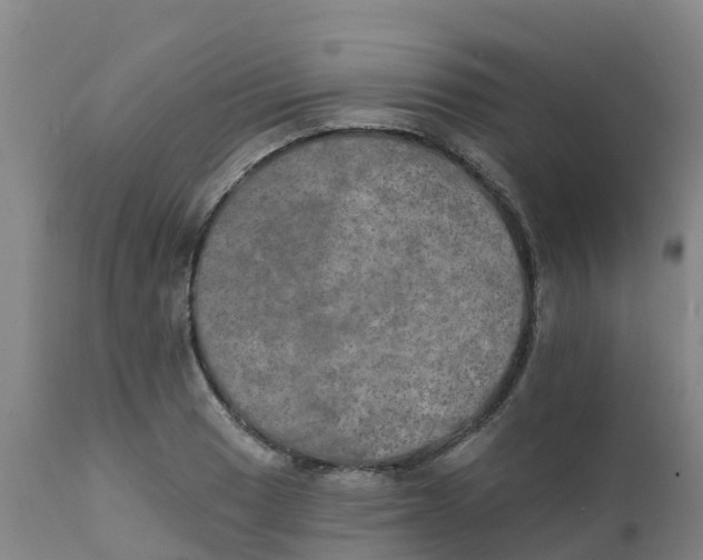 X0000111801033200908131431