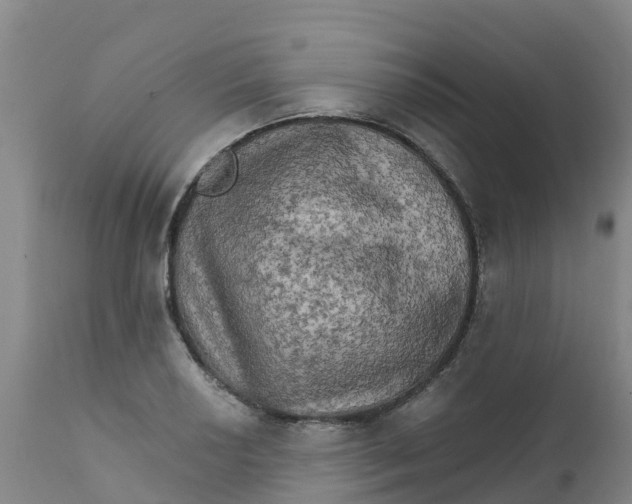 X0000111801034200908131431