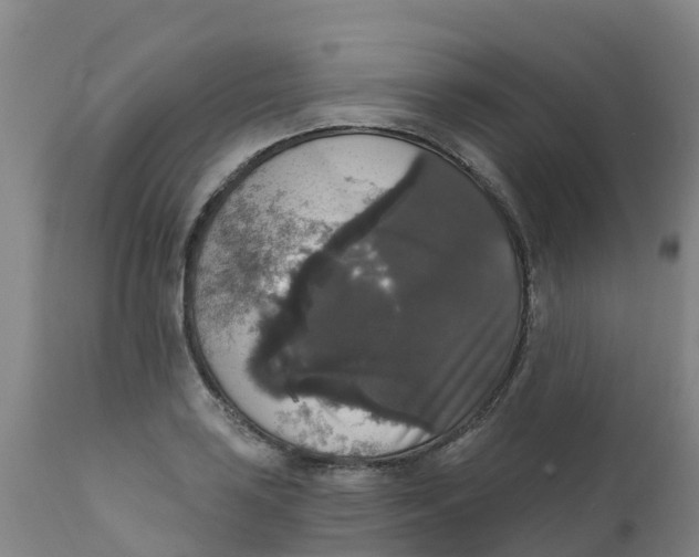 X0000111801035200908131431