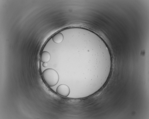 X0000111801036200908131431