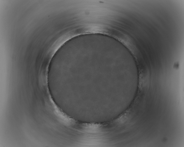 X0000111801039200908131431