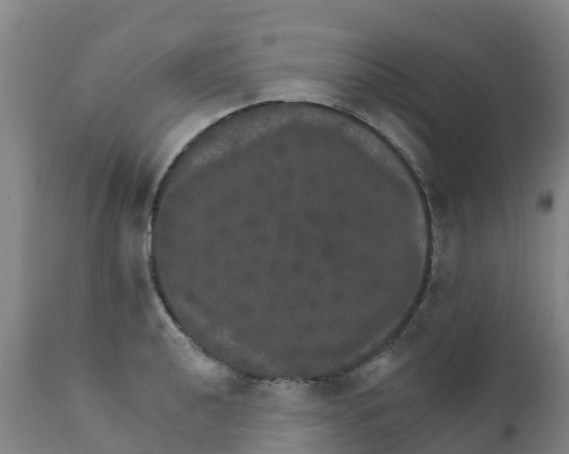 X0000111801040200908131431
