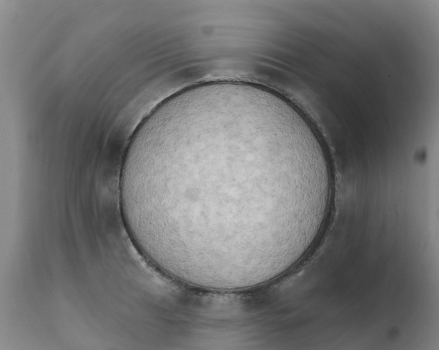 X0000111801041200908131431