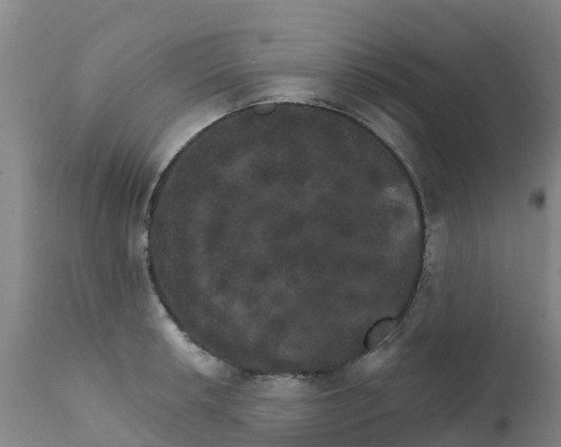X0000111801042200908131431