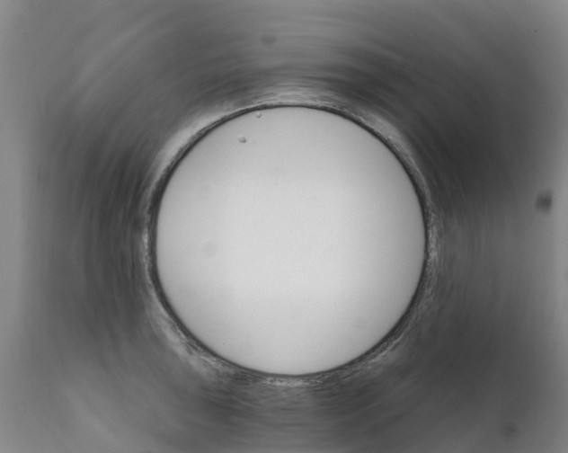 X0000111801043200908131431