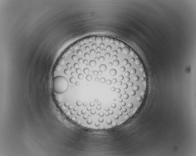 X0000111801044200908131431