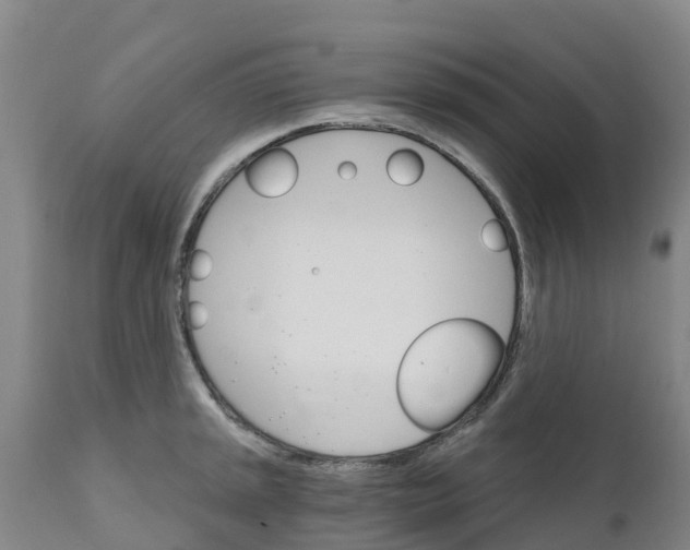 X0000111801045200908131431