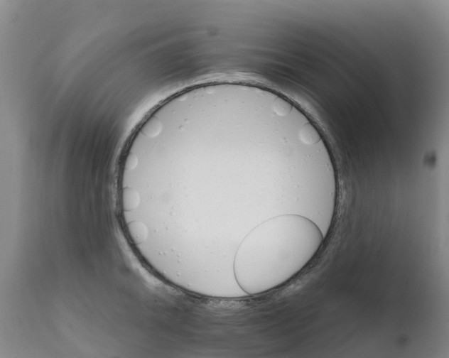 X0000111801046200908131431