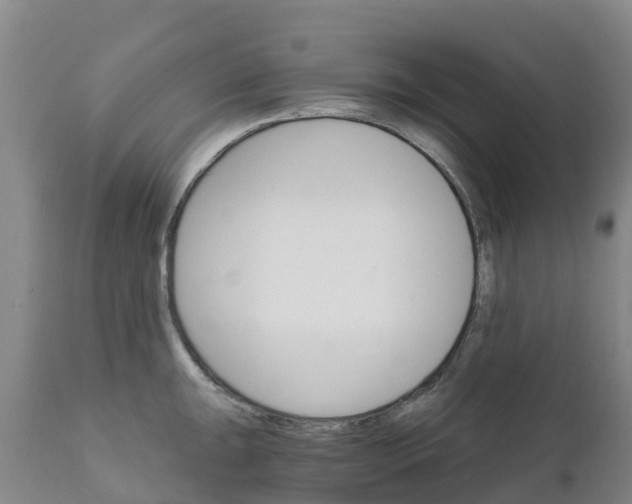 X0000111801047200908131431