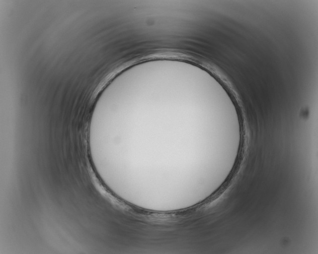 X0000111801049200908131431