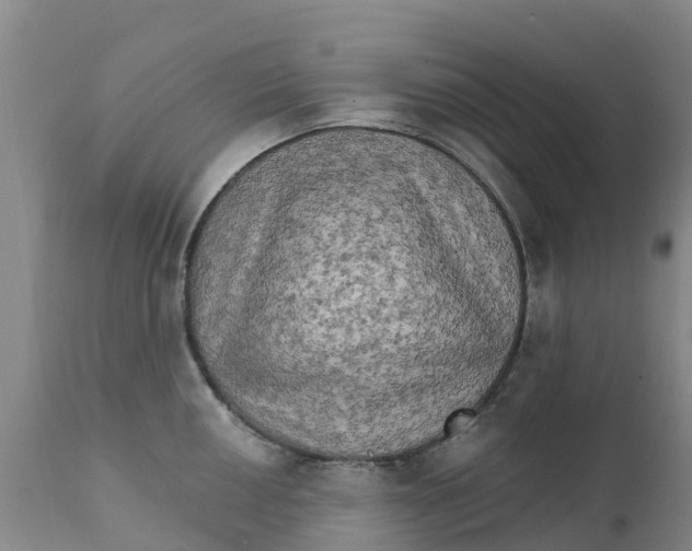 X0000111801050200908131431