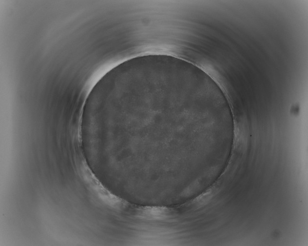 X0000111801052200908131431