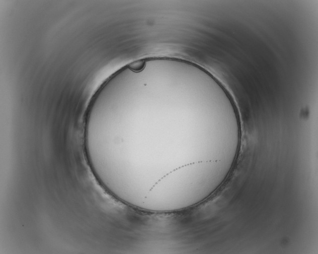 X0000111801053200908131431