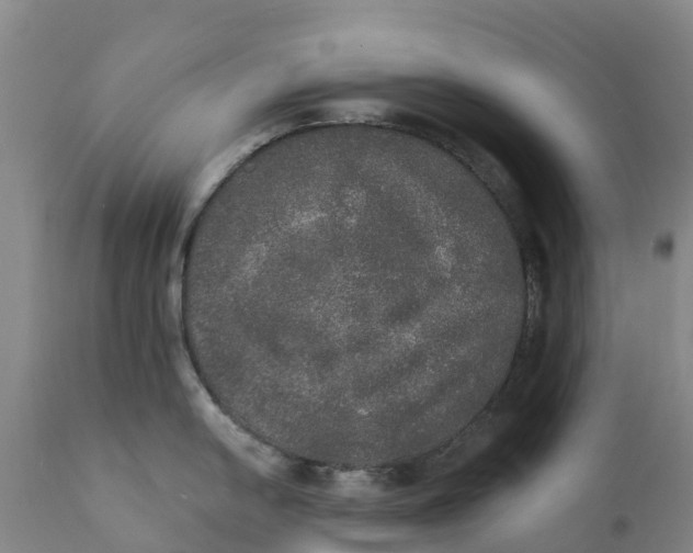X0000111801054200908131431