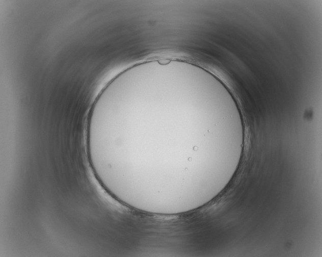 X0000111801055200908131431