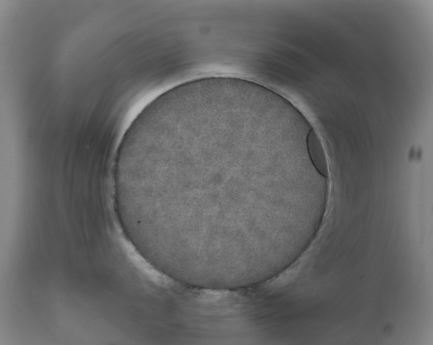 X0000111801056200908131431