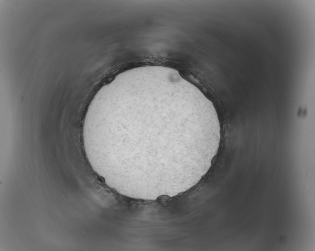 X0000111801057200908131431