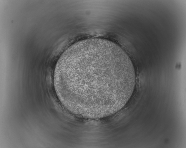 X0000111801058200908131431