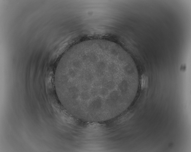 X0000111801059200908131431