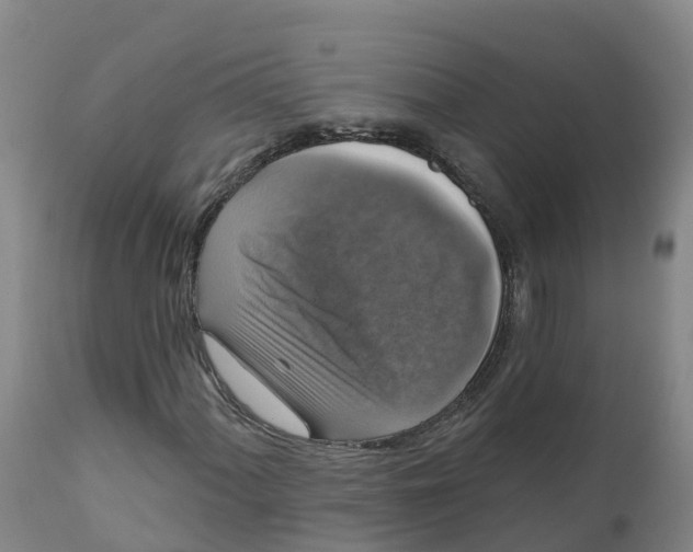X0000111801060200908131431