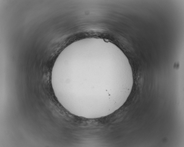 X0000111801061200908131431