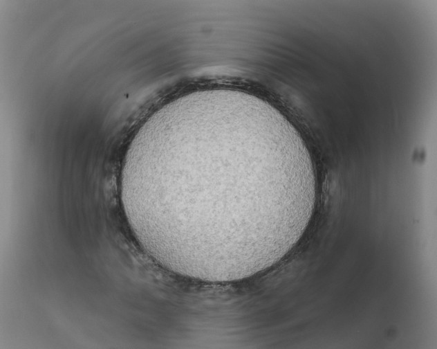 X0000111801062200908131431
