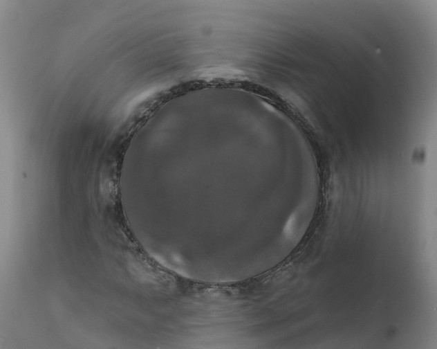 X0000111801063200908131431