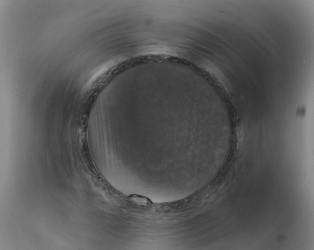 X0000111801064200908131431