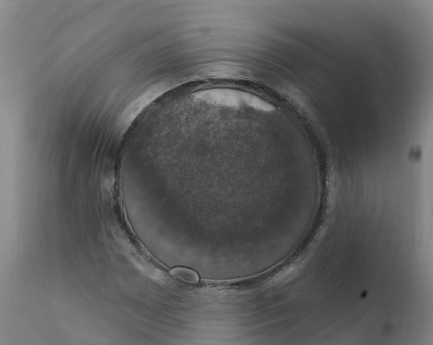 X0000111801065200908131431