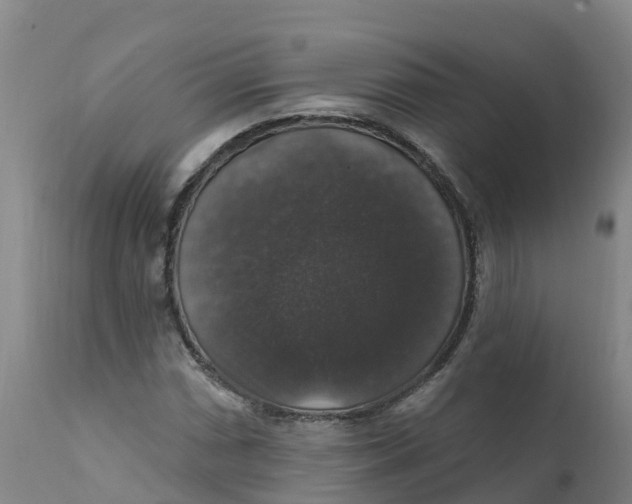 X0000111801066200908131431