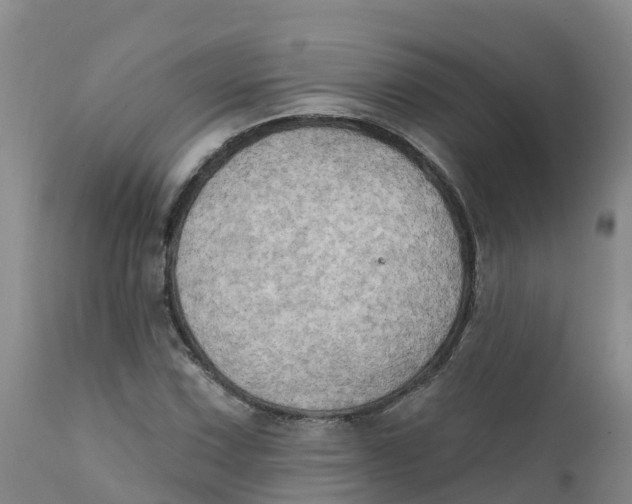 X0000111801067200908131431
