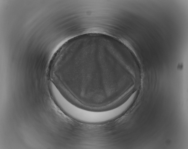 X0000111801068200908131431