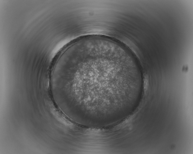 X0000111801069200908131431