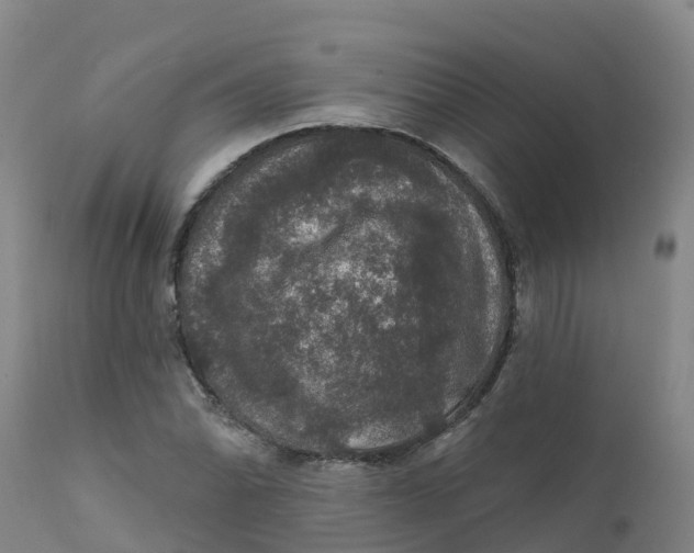 X0000111801070200908131431