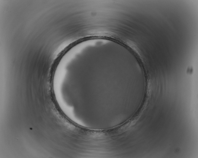 X0000111801071200908131431