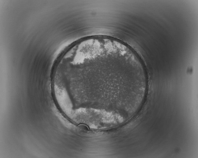 X0000111801072200908131431