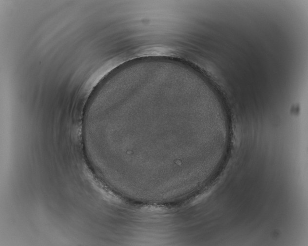X0000111801073200908131431