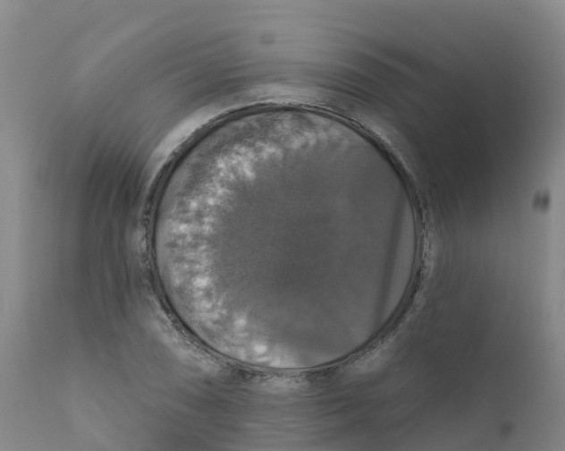 X0000111801074200908131431