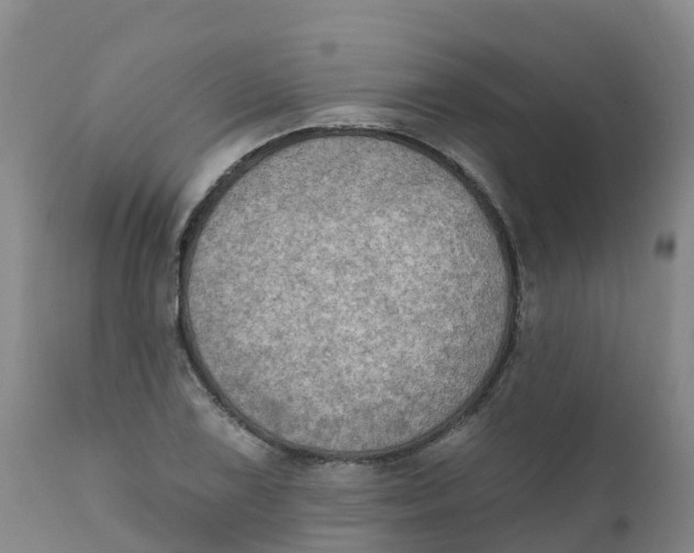 X0000111801075200908131431