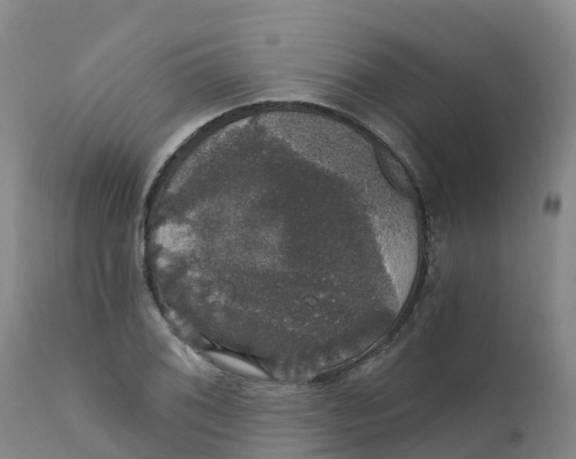 X0000111801076200908131431