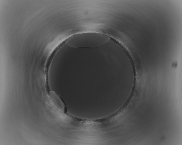 X0000111801077200908131431